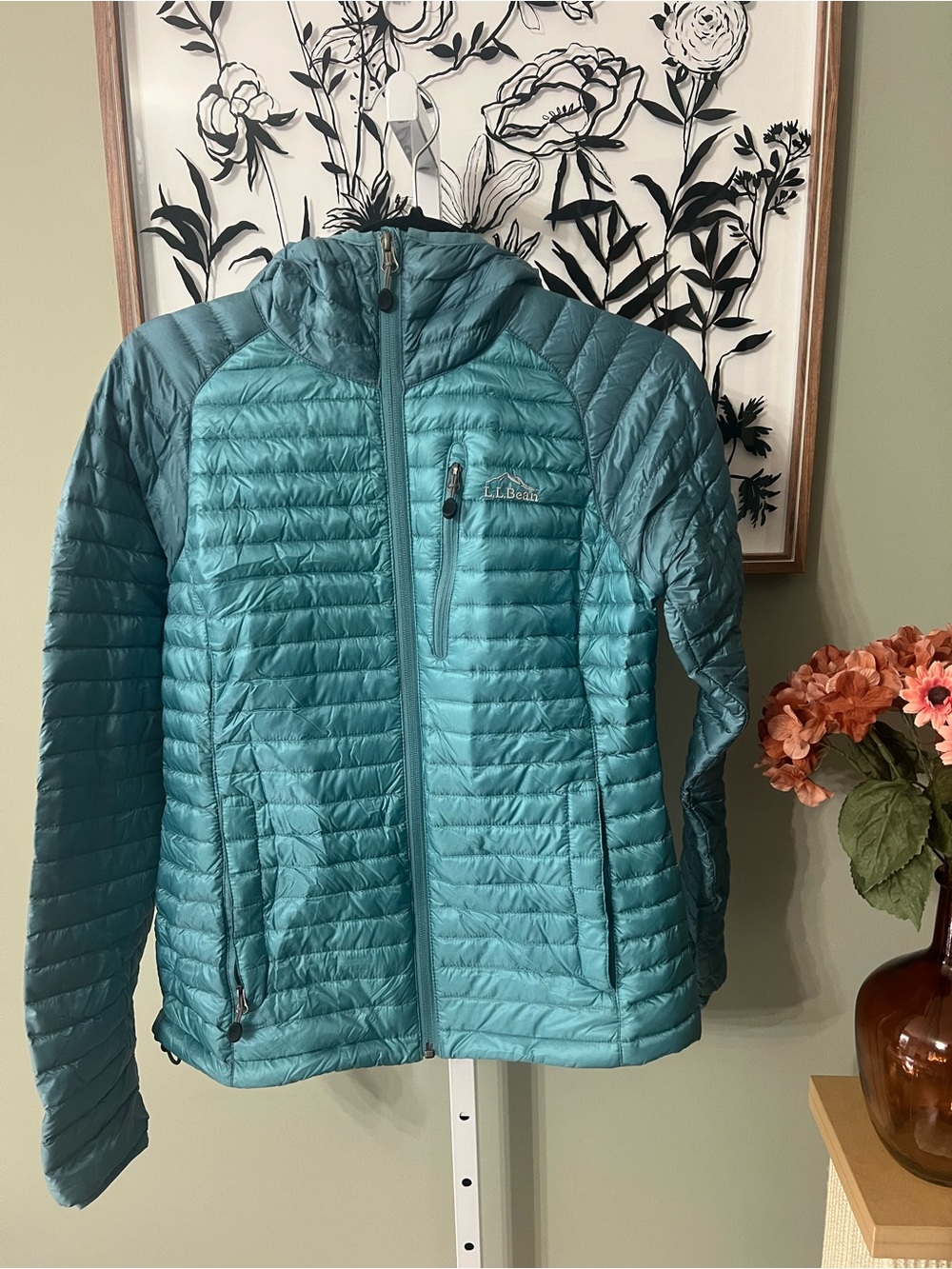 L.L. Bean Jacket Teal 850 Down Puffer Downtek Hooded Pertex Quantum Size XS